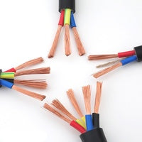 Automotive Trailer Spring High Resistance Copper Core Stranded Wire Rubber 12V/24V-300V 12-core 0.2-2.5mm Auto Building